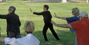 Tai Chi Exercises Saint George