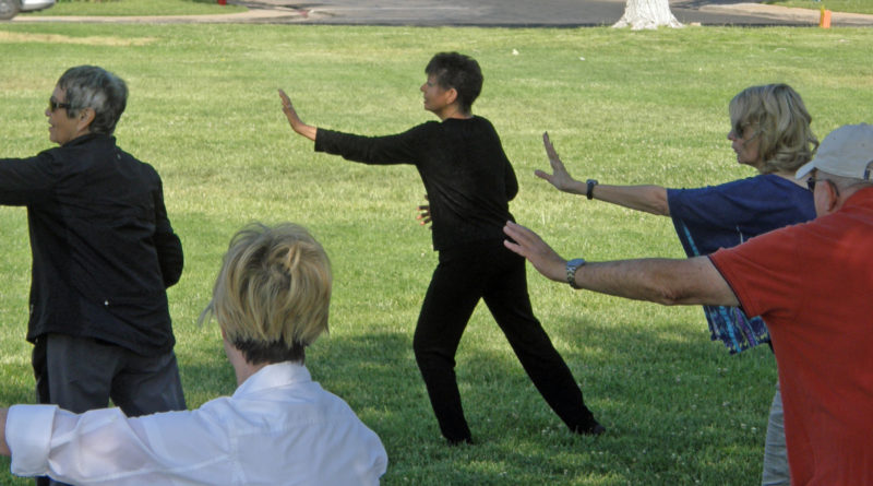 Tai Chi Exercises Saint George